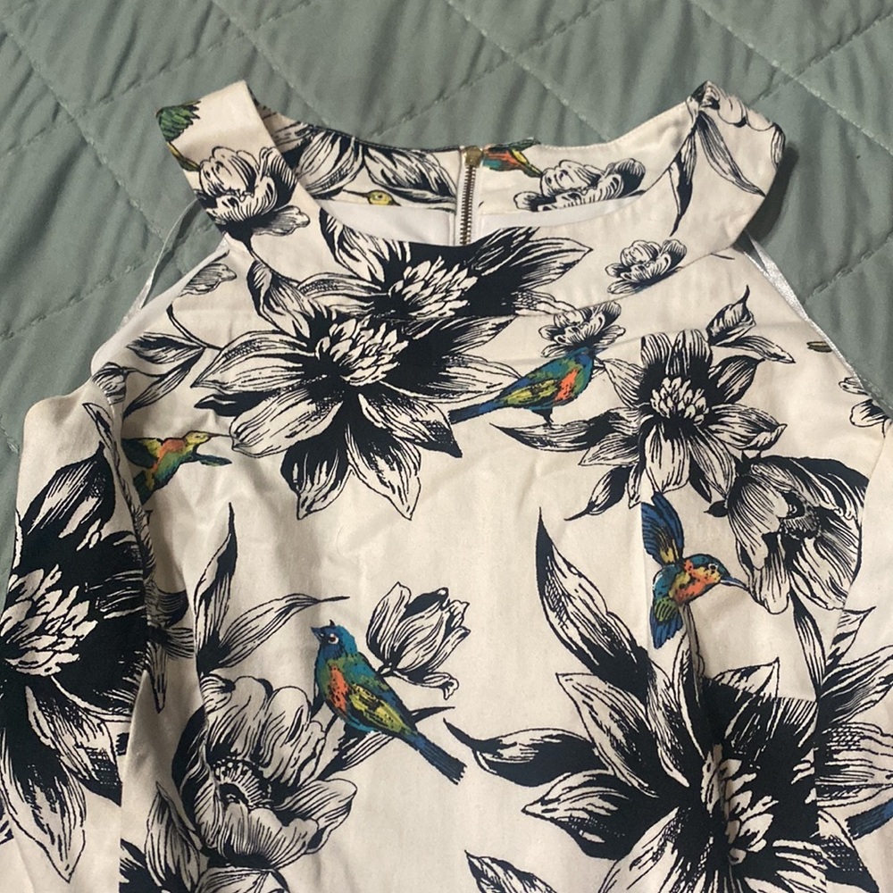 Hummingbird Dress - Picture 4 of 5